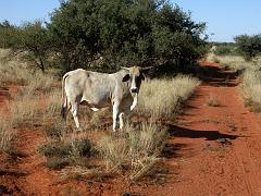 090509_South_Africa 199